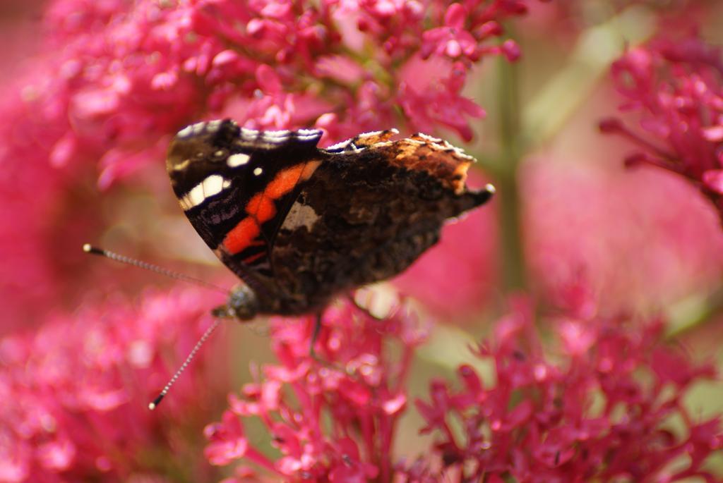 Melbourne Place Wolsingham Esterno foto