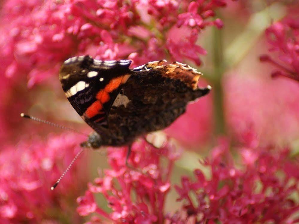 Melbourne Place Wolsingham Esterno foto